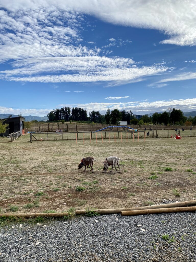 IMG-1879